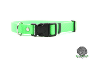 HEXA Webbing Dog Collar