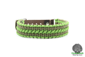 Leather & Paracord Dog Collar