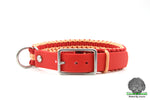 Load image into Gallery viewer, Paracord Dog Collar
