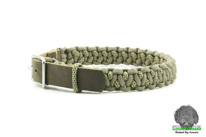 Leather & Paracord Dog Collar