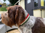 Load image into Gallery viewer, &#39;Italian&#39; Adjustable Paracord Dog Collar - Side Release Buckle
