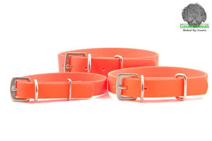 BioThane Webbing Dog Collars