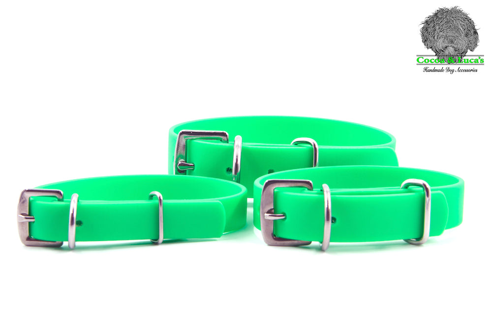 BioThane® Webbing Dog Collar - Green