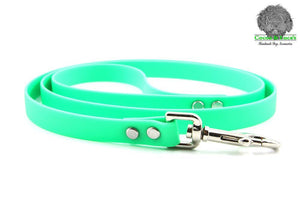 BioThane Webbing Dog Lead