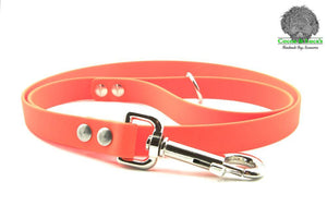 BioThane Webbing Dog Lead