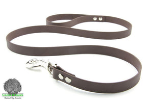 BioThane Webbing Dog Lead