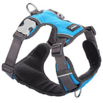 Load image into Gallery viewer, Red Dingo Padded Harness
