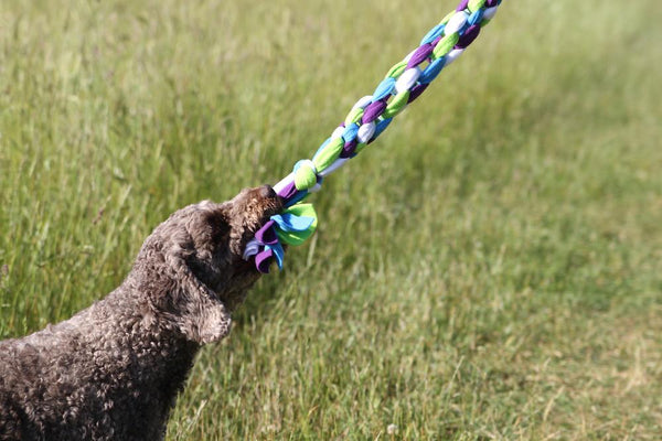 Tug of war dog toy discount