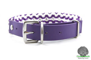Paracord Dog Collar