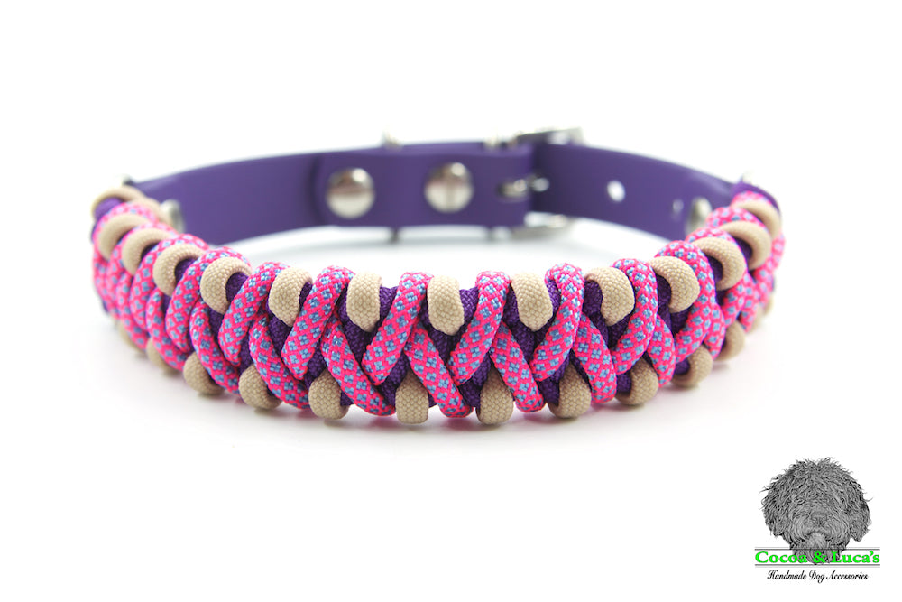 Solomon's Fire' Dog Collar Purple – Tuffdogs Stuff