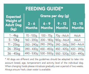 Puppy Feeding Guide